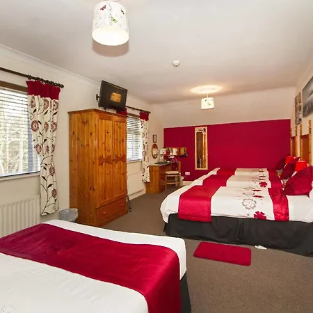 Guest house Augusta 4*
