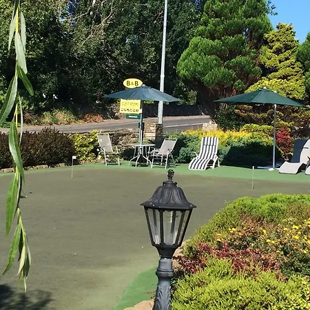 Augusta 4*